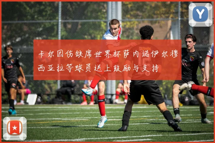 卡尔因伤缺席世界杯萨内诺伊尔穆西亚拉等球员送上鼓励与支持
