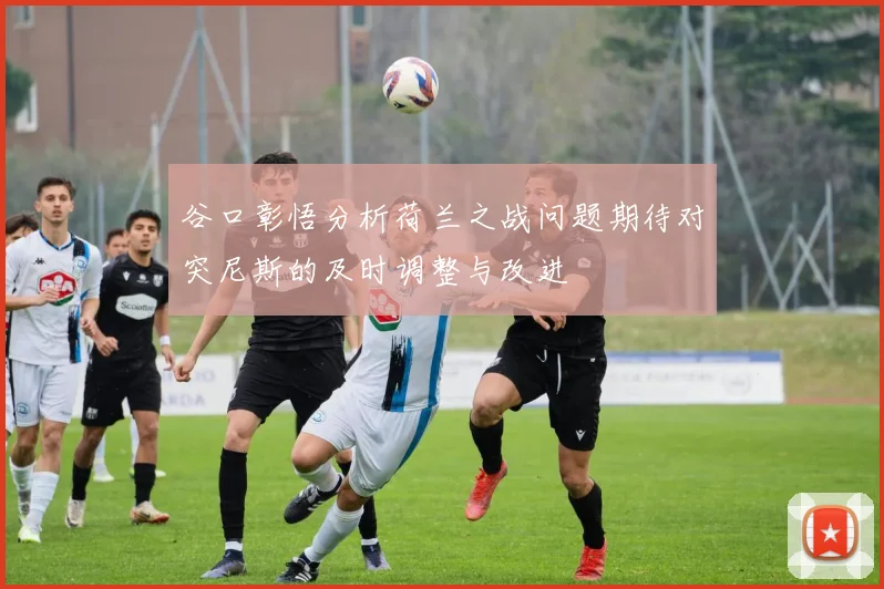 谷口彰悟分析荷兰之战问题期待对突尼斯的及时调整与改进